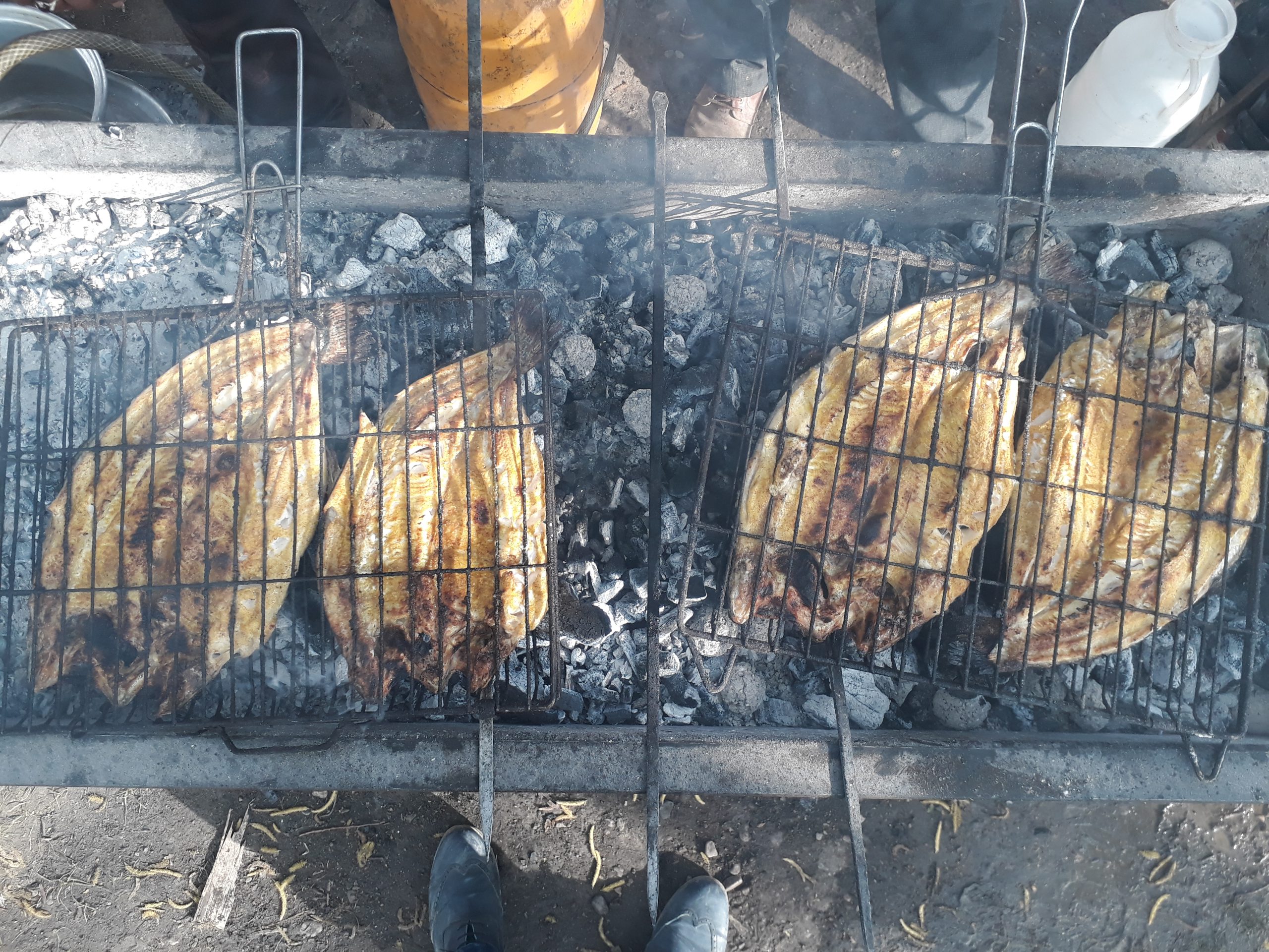 A Trip to Chaharmahal Bakhtiari Province: The Land of Springs and Waterfalls 4 a trip to Chaharmahal Bakhtiari fish kebab