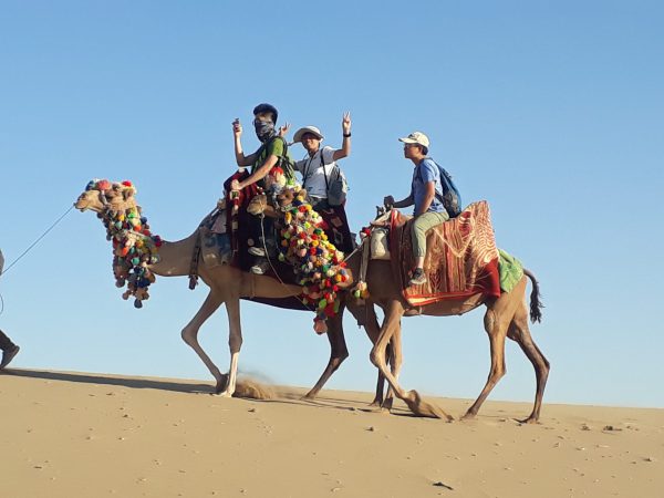 Camel Riding