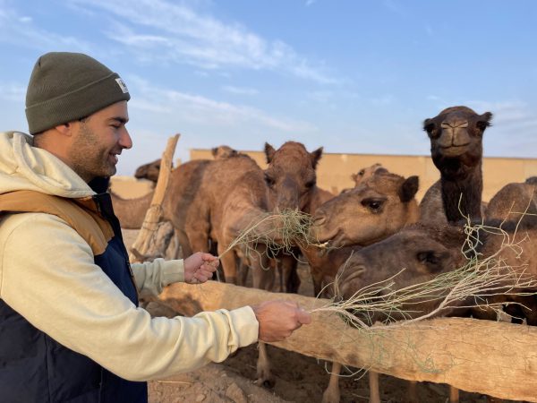 Tourist feeding a camel in Mesr Desert village, connecting with local desert culture | Iran&rsquo;s Travel